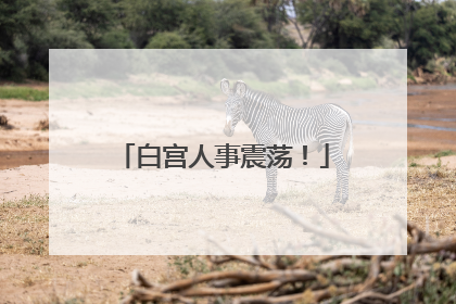 白宫人事震荡！