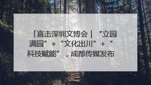 直击深圳文博会｜“立园满园”+“文化出川”+“科技赋能”，成都传媒发布三大文创领域合作清单