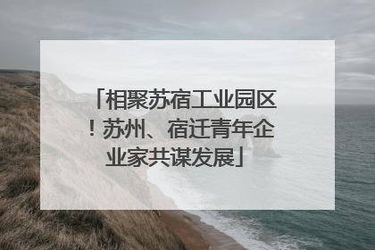 相聚苏宿工业园区！苏州、宿迁青年企业家共谋发展