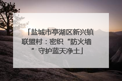 盐城市亭湖区新兴镇联盟村：密织“防火墙”守护蓝天净土