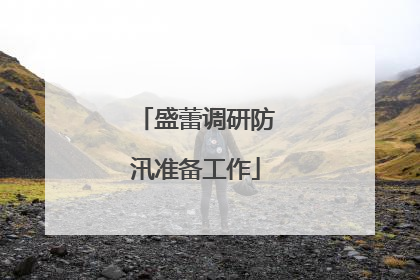 盛蕾调研防汛准备工作