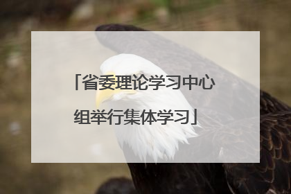 省委理论学习中心组举行集体学习