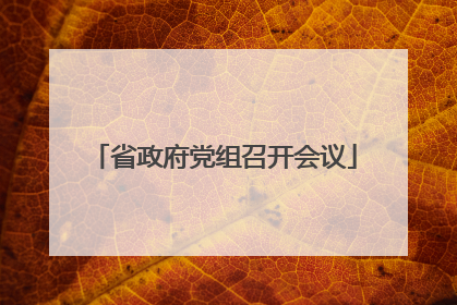 省政府党组召开会议