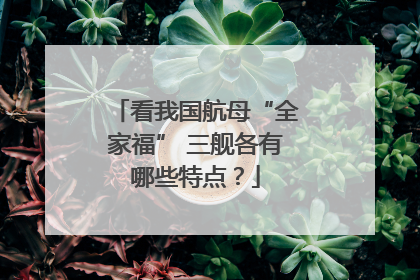 看我国航母“全家福” 三舰各有哪些特点？