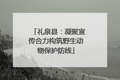 礼泉县：凝聚宣传合力构筑野生动物保护防线