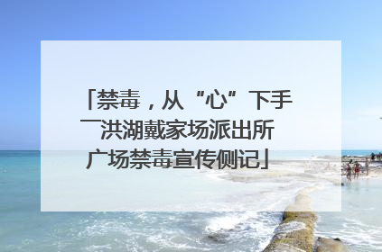 禁毒，从“心”下手――洪湖戴家场派出所广场禁毒宣传侧记