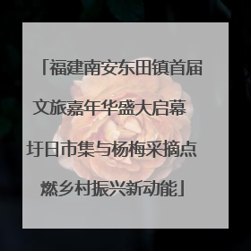 福建南安东田镇首届文旅嘉年华盛大启幕 圩日市集与杨梅采摘点燃乡村振兴新动能
