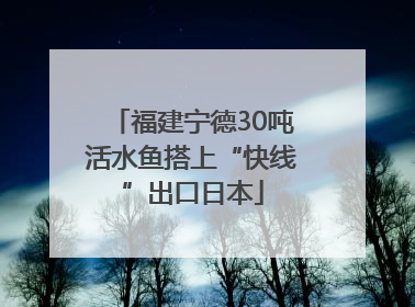 福建宁德30吨活水鱼搭上“快线”出口日本