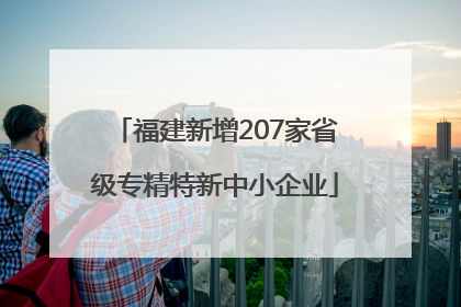福建新增207家省级专精特新中小企业