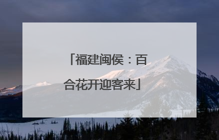 福建闽侯：百合花开迎客来