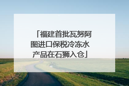 福建首批瓦努阿图进口保税冷冻水产品在石狮入仓