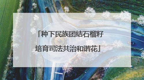 种下民族团结石榴籽 培育司法共治和谐花