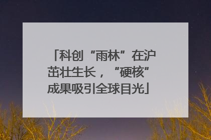 科创“雨林”在沪茁壮生长，“硬核”成果吸引全球目光