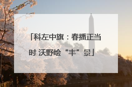 科左中旗：春播正当时 沃野绘“丰”景