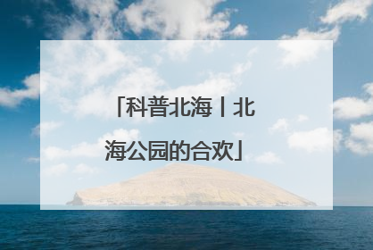 科普北海丨北海公园的合欢