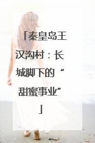 秦皇岛王汉沟村：长城脚下的“甜蜜事业”