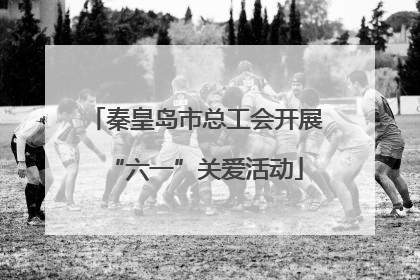 秦皇岛市总工会开展“六一”关爱活动