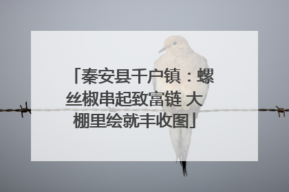 秦安县千户镇：螺丝椒串起致富链 大棚里绘就丰收图
