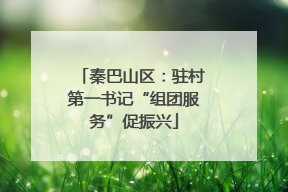 秦巴山区：驻村第一书记“组团服务”促振兴