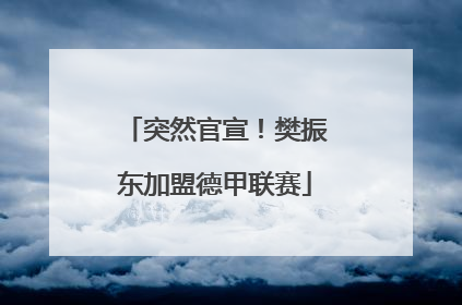 突然官宣！樊振东加盟德甲联赛