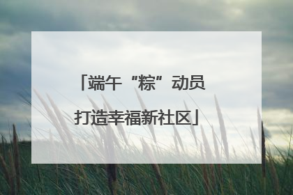 端午“粽”动员 打造幸福新社区