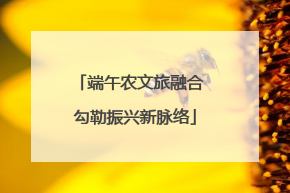端午农文旅融合 勾勒振兴新脉络