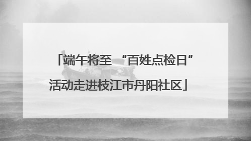 端午将至 “百姓点检日”活动走进枝江市丹阳社区