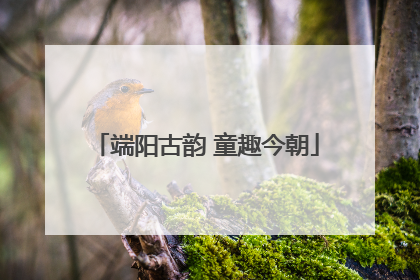 端阳古韵 童趣今朝