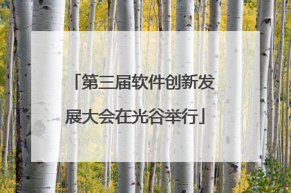 第三届软件创新发展大会在光谷举行