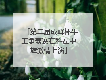 第二届成峰杯牛王争霸赛在科左中旗激情上演