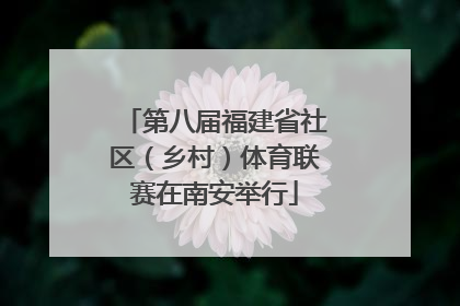 第八届福建省社区（乡村）体育联赛在南安举行