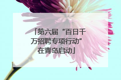 第六届“百日千万招聘专项行动”在青岛启动