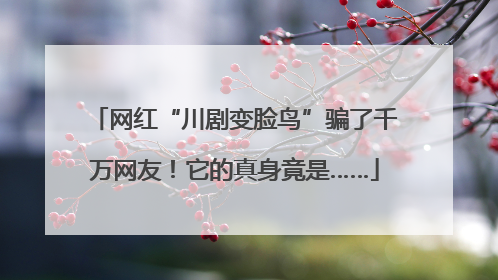 网红“川剧变脸鸟”骗了千万网友！它的真身竟是……
