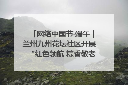 网络中国节·端午｜兰州九州花坛社区开展“红色领航 粽香敬老”端午主题活动