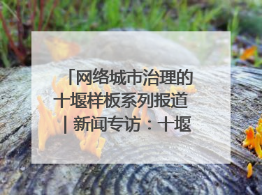 网络城市治理的十堰样板系列报道｜新闻专访：十堰为什么成为“黑马型”城市治理网络维度典型