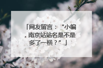 网友留言：“小编，南京站站名是不是多了一横？”