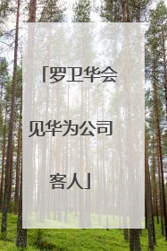 罗卫华会见华为公司客人