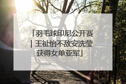 羽毛球印尼公开赛｜王祉怡不敌安洗莹 获得女单亚军