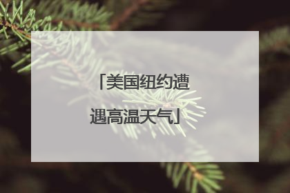 美国纽约遭遇高温天气