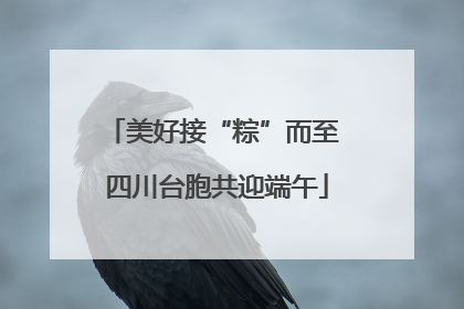美好接“粽”而至 四川台胞共迎端午