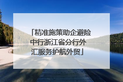 精准施策助企避险 中行浙江省分行外汇服务护航外贸
