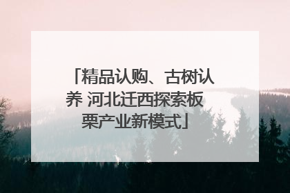精品认购、古树认养 河北迁西探索板栗产业新模式