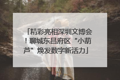 精彩亮相深圳文博会！聊城东昌府区“小葫芦”焕发数字新活力