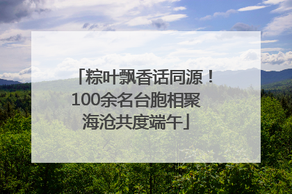 粽叶飘香话同源！100余名台胞相聚海沧共度端午