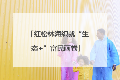 红松林海织就“生态+”富民画卷
