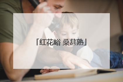 红花峪 桑葚熟
