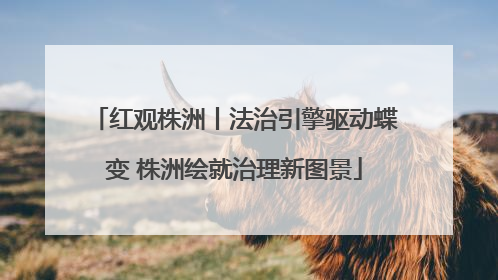 红观株洲丨法治引擎驱动蝶变 株洲绘就治理新图景