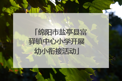 绵阳市盐亭县富驿镇中心小学开展幼小衔接活动