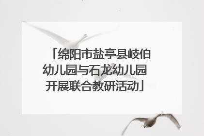 绵阳市盐亭县岐伯幼儿园与石龙幼儿园开展联合教研活动