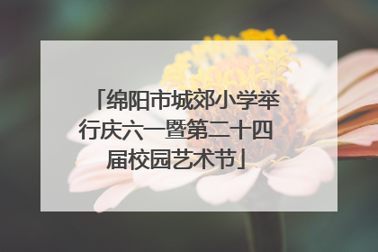 绵阳市城郊小学举行庆六一暨第二十四届校园艺术节